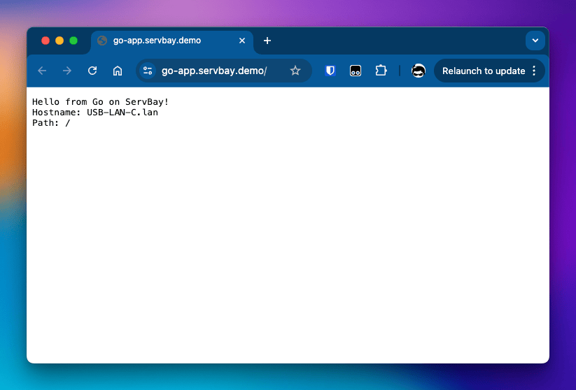 Akses proyek Go lokal melalui browser