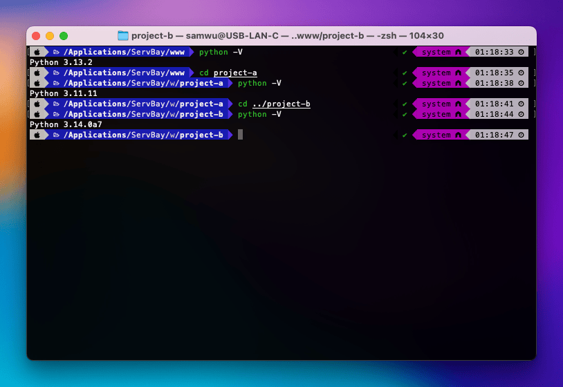 Asignar diferentes versiones de Python por proyecto